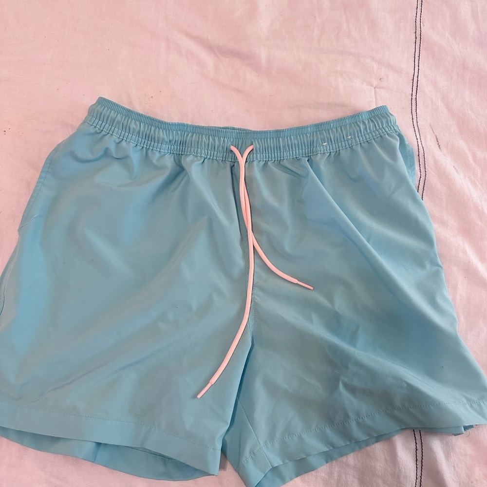 Men’s Chubbies swim trunks